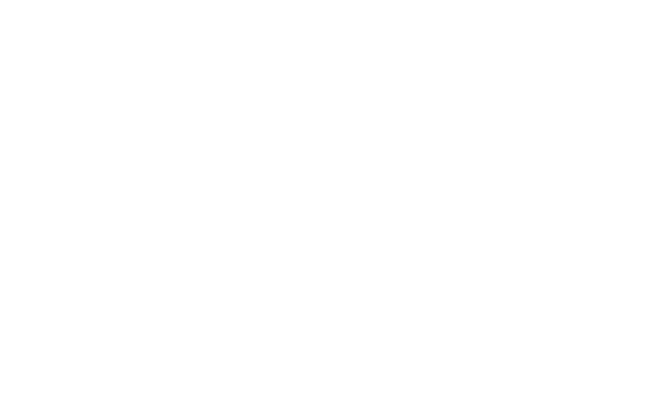 Arena Village