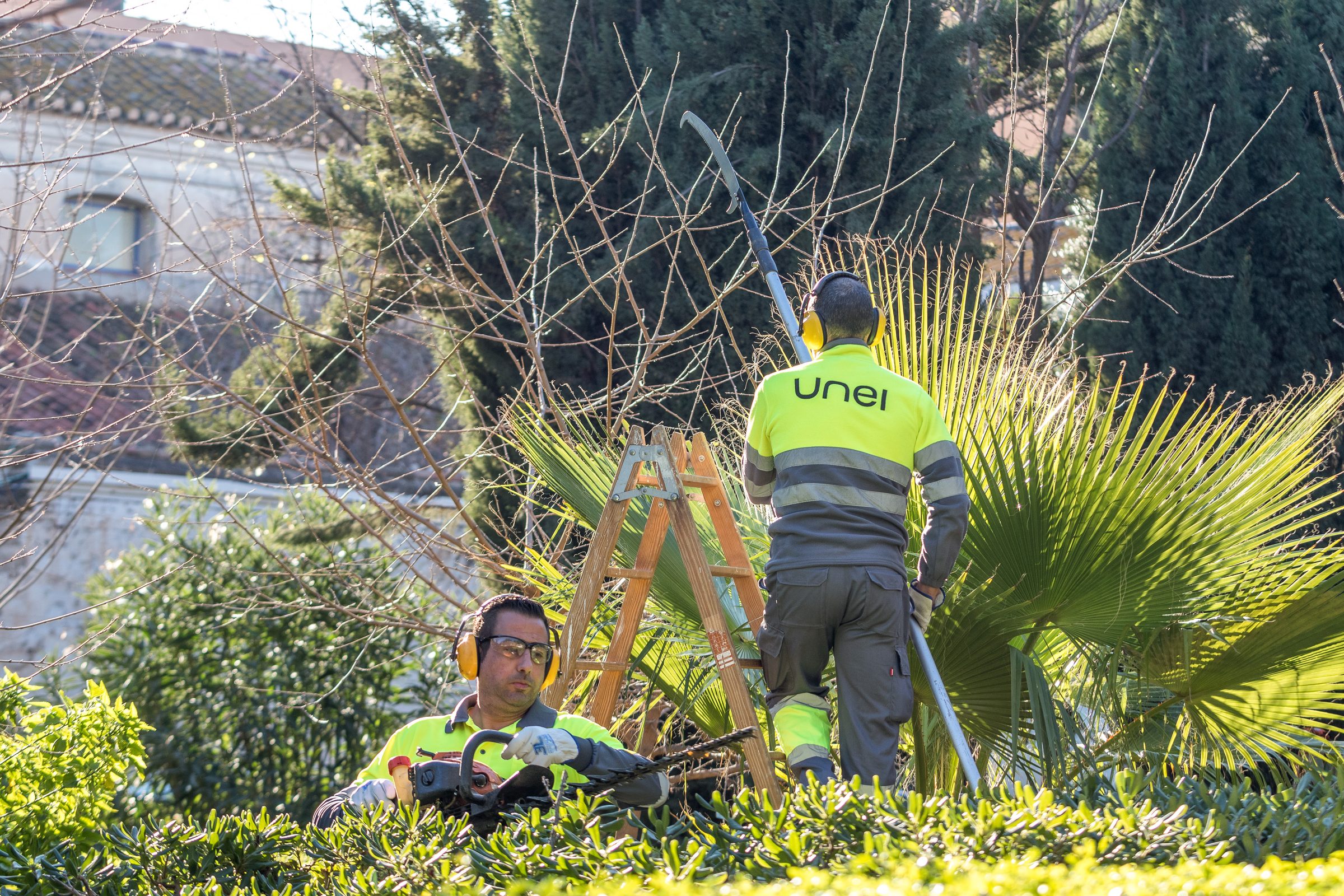 Trabajos de jardinería y mantenimiento sostenible